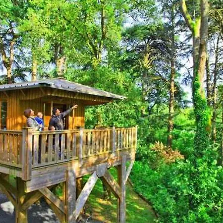 Zecamping 4 étoiles Familial Hammam Bain à Remous Et Sauna